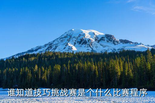 谁知道技巧挑战赛是个什么比赛程序