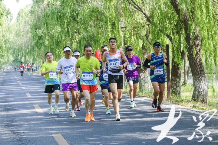 白云区乡村马拉松_2020白云马拉松_白云区半程马拉松