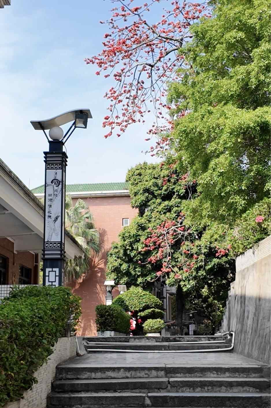 番禺区校园足球超级联赛_番禺区校园足球冠军_校园足球冠军杯